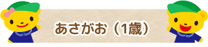 あさがお（1歳）